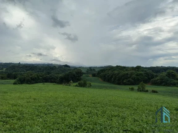 Imagem Terreno com 9,2 Alqueires, área verde ideal para plantio ou construção, em Campo Largo PR