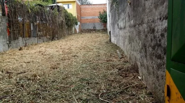Imagem Terreno - São Paulo - SP - Vila Talarico