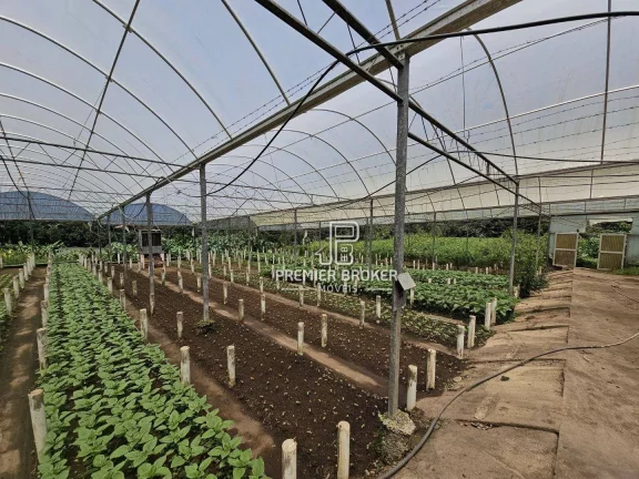 Imagem Sítio à venda, 338800 m² por R$ 2.600.000,00 - Ponte Nova - Teresópolis/RJ