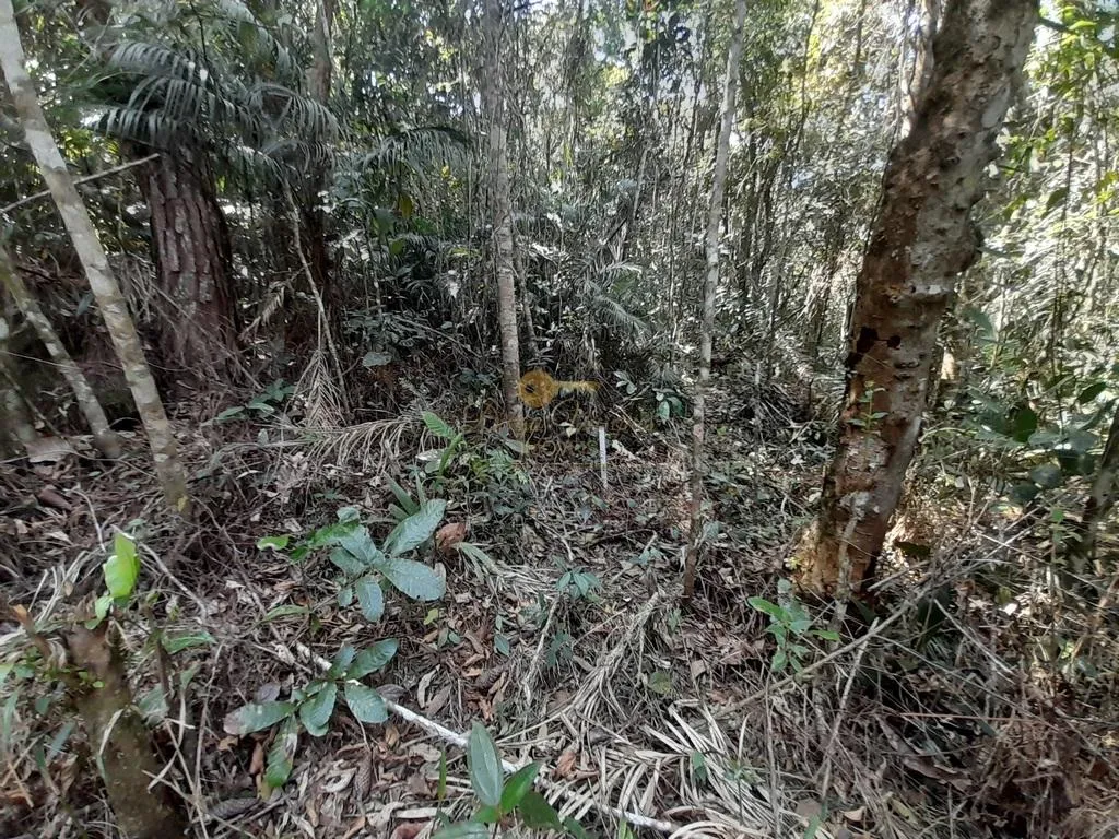Imagem Terreno para Venda em Teresópolis / RJ no bairro Vargem Grande