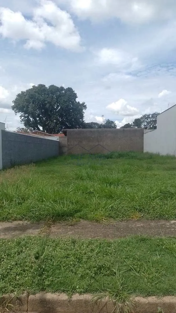 Imagem Terreno Padrão