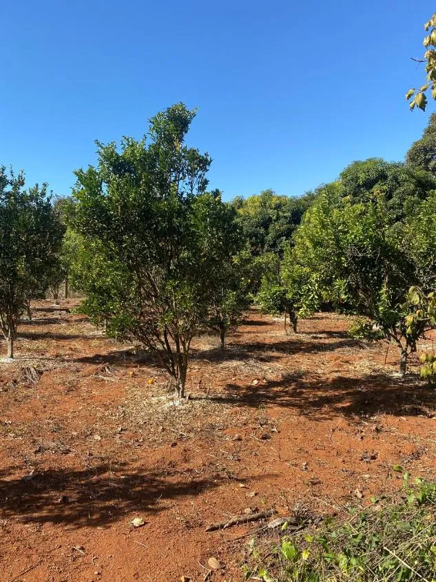 Imagem Oportunidade em Lagoa Santa/MG: Terreno a venda de 13,1 Hectares