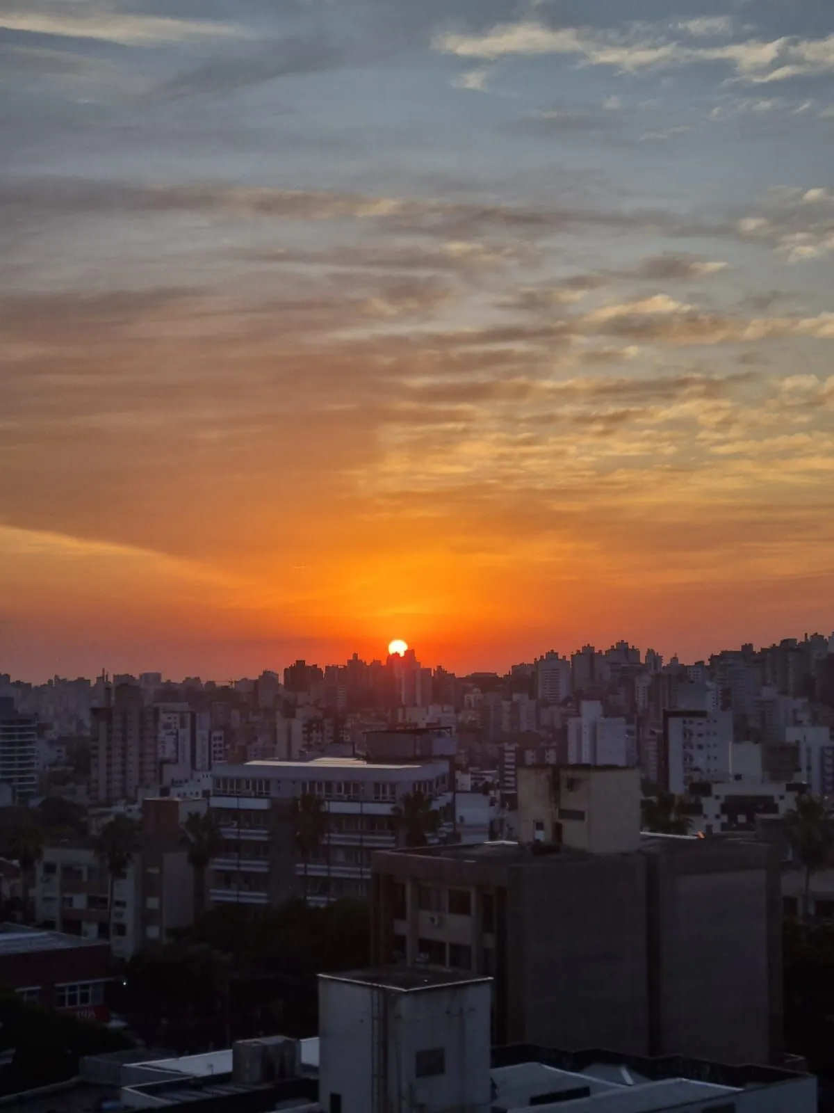 Imagem Apto 3 dorm living estendido, andar alto no Passo da Areia