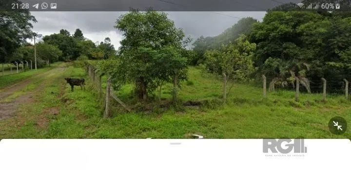 Imagem Sítio em ZN