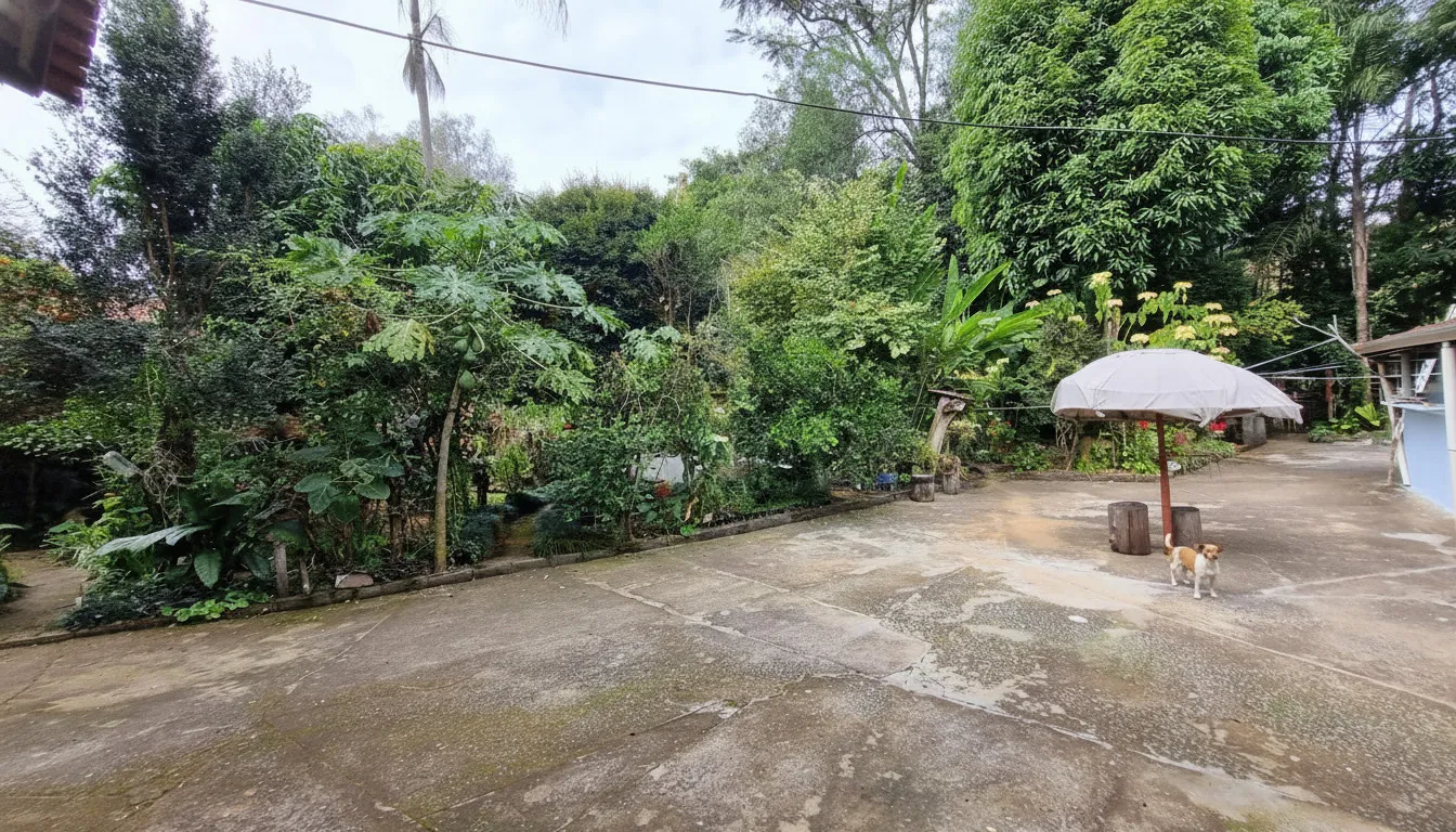 Imagem Chácara 250 m² à venda em São Miguel (João Carlos), Bandeira do Sul