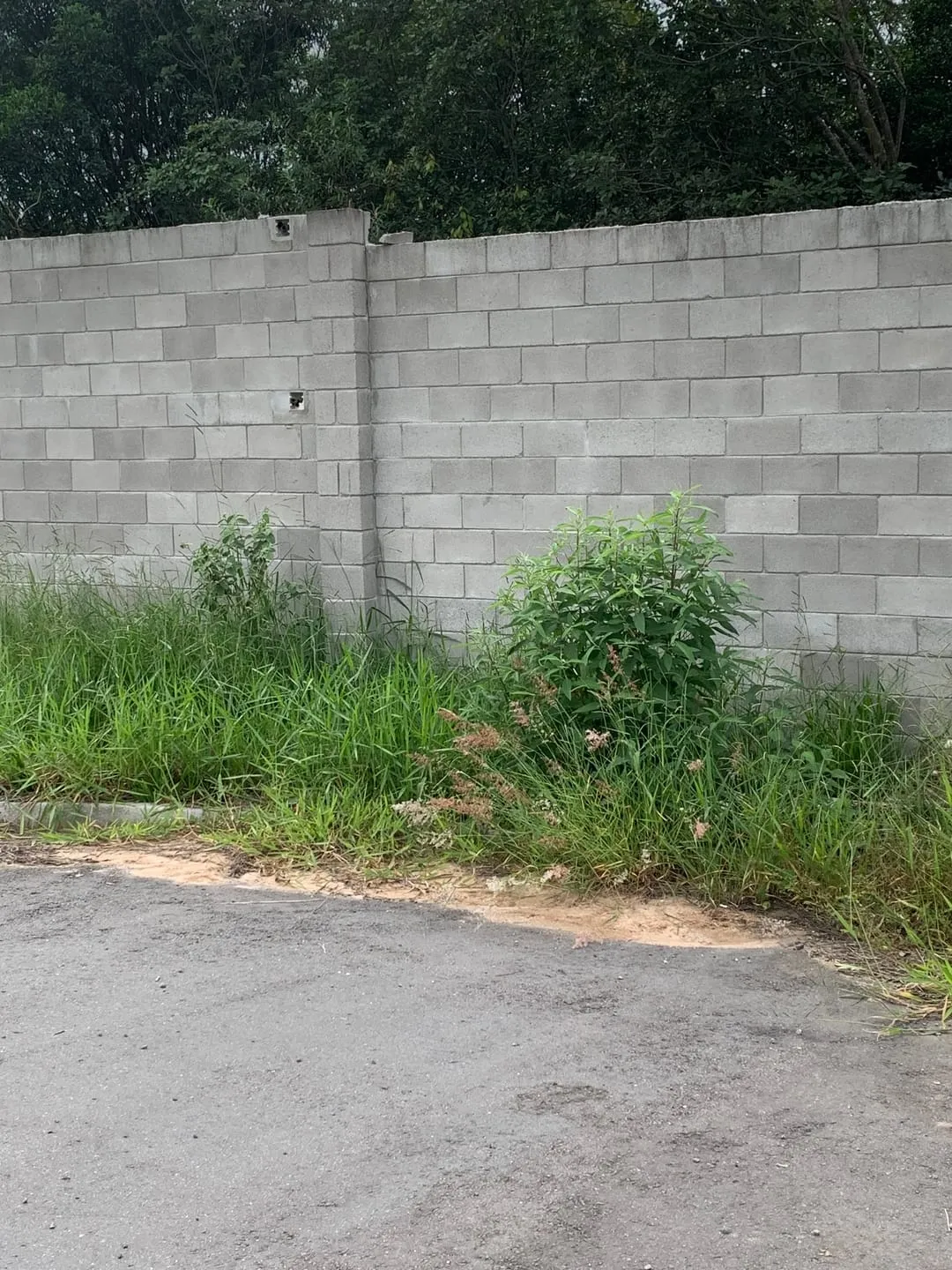 Imagem Terreno à venda 233M², Bosque da Imperatriz, Pindamonhangaba - SP | Condomínio Bosque da Imperatriz