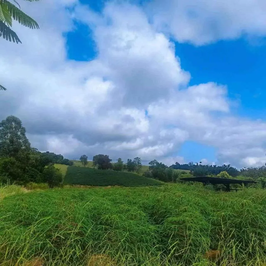 Imagem Chácara para Venda em Novo Hamburgo / RS no bairro Lomba Grande