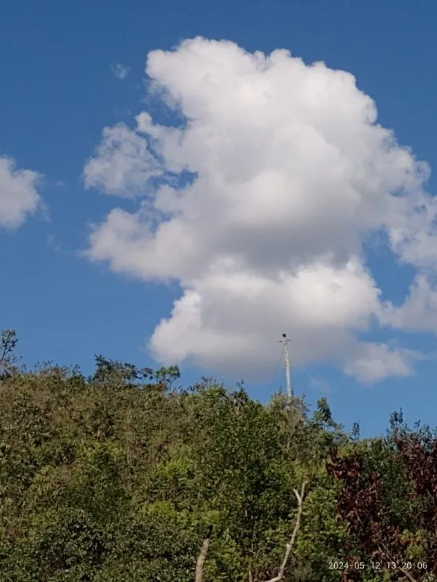Imagem Ótima Oportunidade em Itaguara/MG: Terreno de 6 Hectares no Povoado Boa Vista