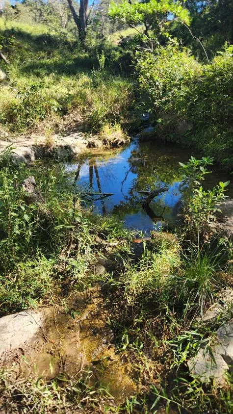 Imagem Vende-se excelente terreno em Bonfim/MG com Área total de 23 hectares, toda formada