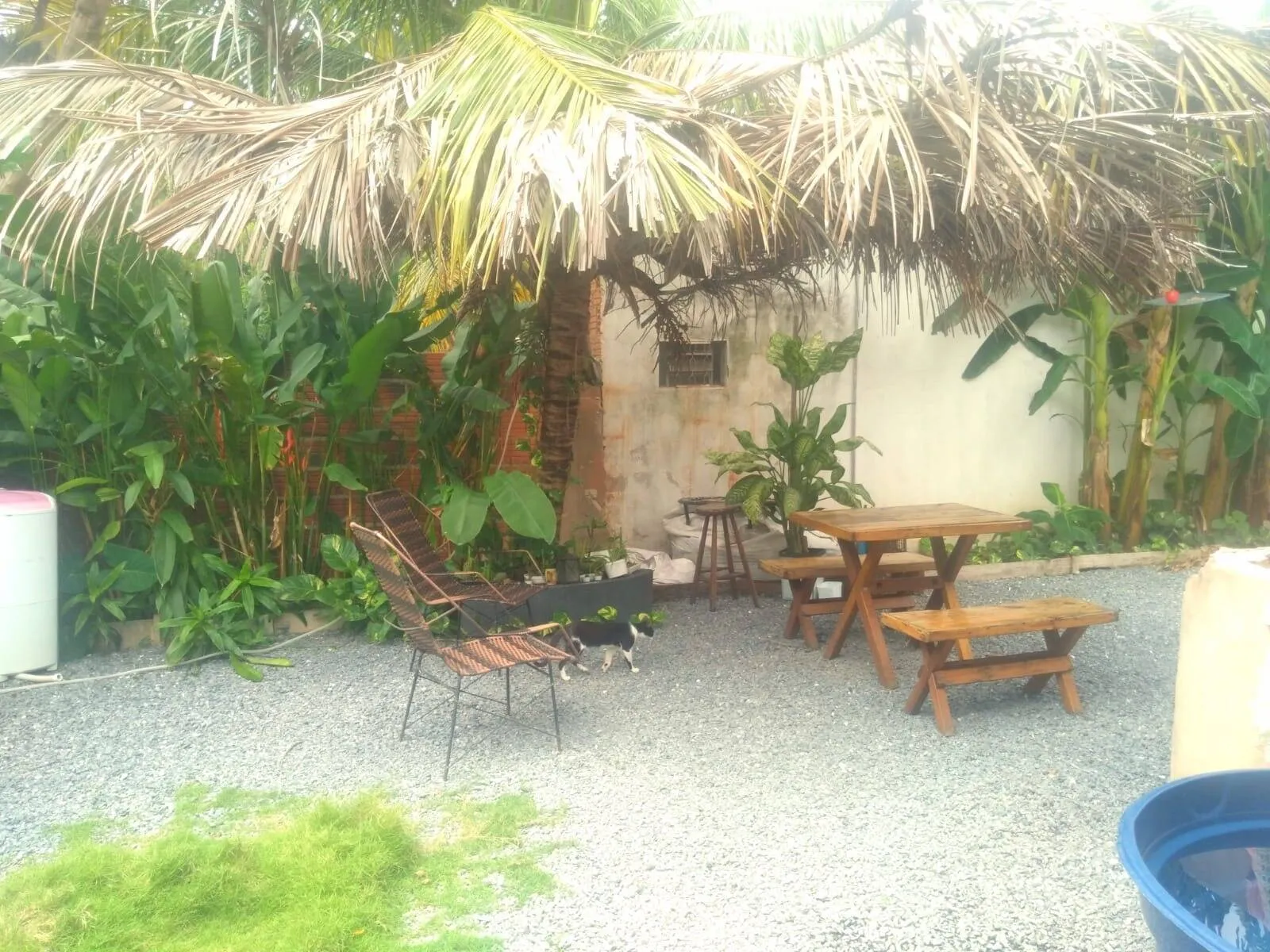 Imagem Casa 1 quarto Bairro Do Pari