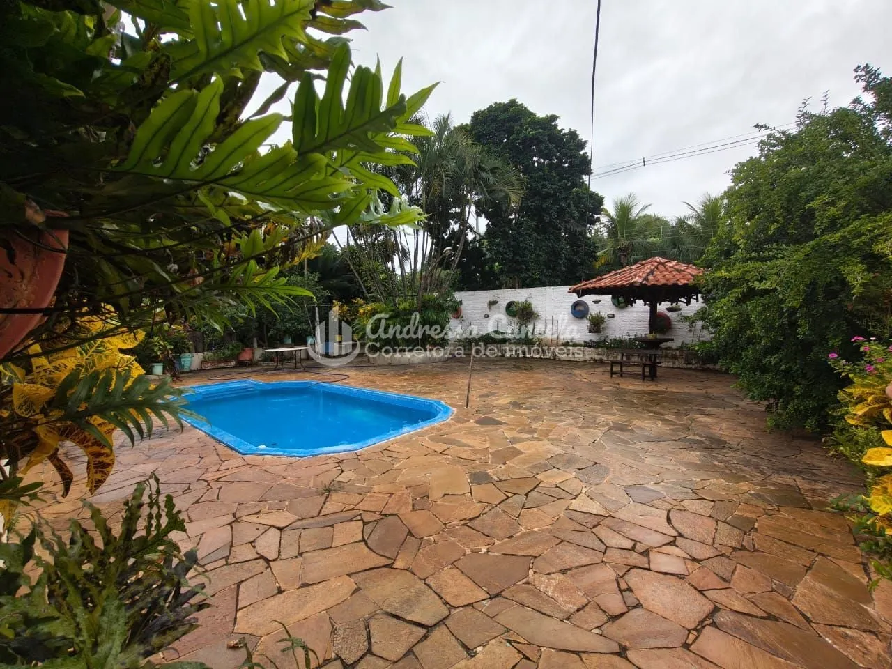 Imagem Recanto de Alá - Chácara com 5 dormitórios à venda, 5000 m² por R$ 1.600.000 - Recanto De Alá - Mirassol/SP