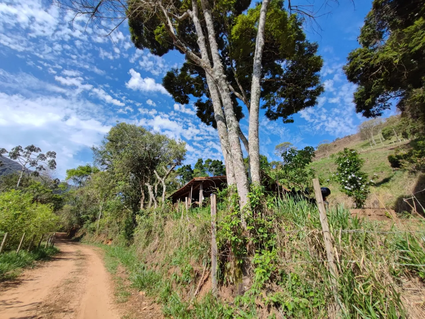 Chácara à venda 2 Quartos, 4 Vagas, 238600M², Bairro dos Macacos, Silveiras - SP
