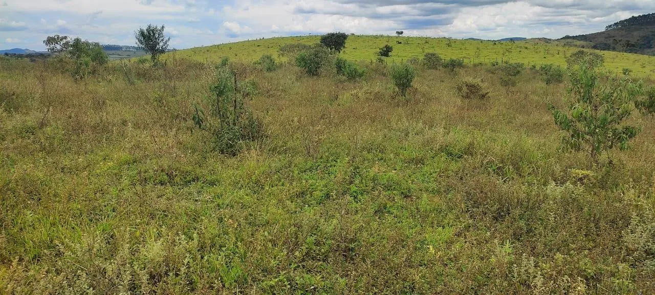Imagem endo uma excelente fazenda em Desterro de Entre Rios com 277 hectares de terra