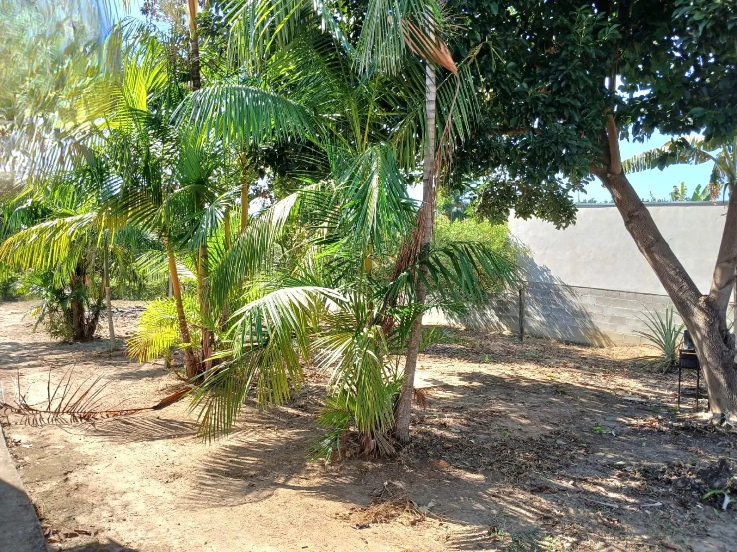 Imagem Chácara à venda e locação 3 Quartos, 3950M², Goiabal, Pindamonhangaba - SP