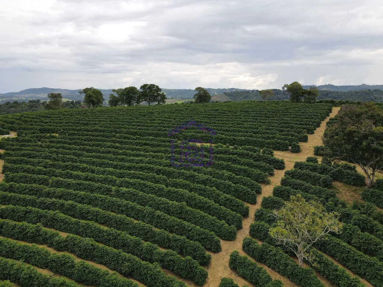 Imagem Fazenda 48 m² à venda em Roseira, Bandeira do Sul