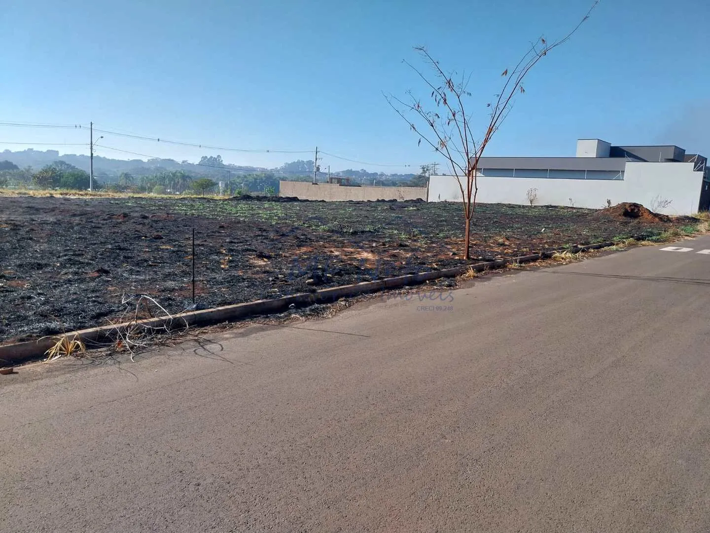 Foto do imóvel Terreno Padrão