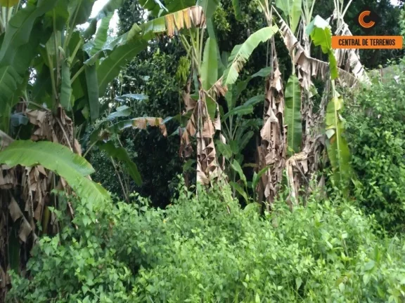 Imagem TERRENO PRÓXIMO AO BOSQUE DA PAZ