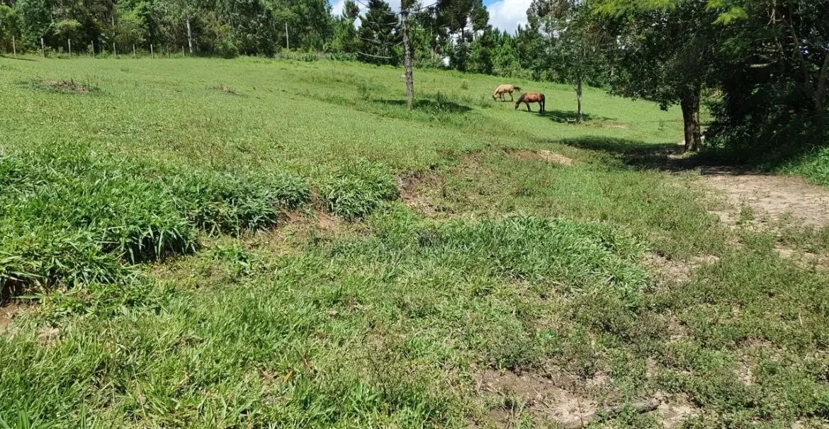 Imagem Sítio com 36.000 m² Natureza com conforto e linda vista? Itapeva/SP