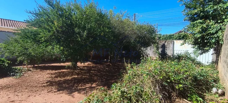 Imagem Terreno Padrão