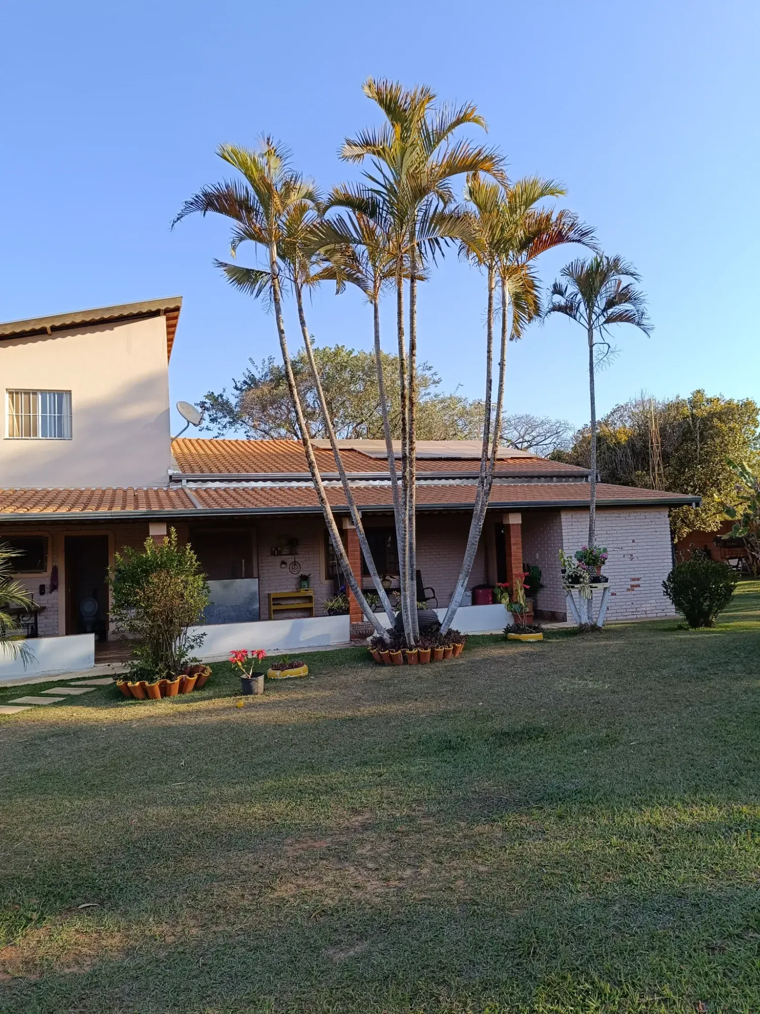Imagem Chácara com 3 Quartos à Venda, 386 m² em Área Rural de Cesário Lange - Cesário Lange