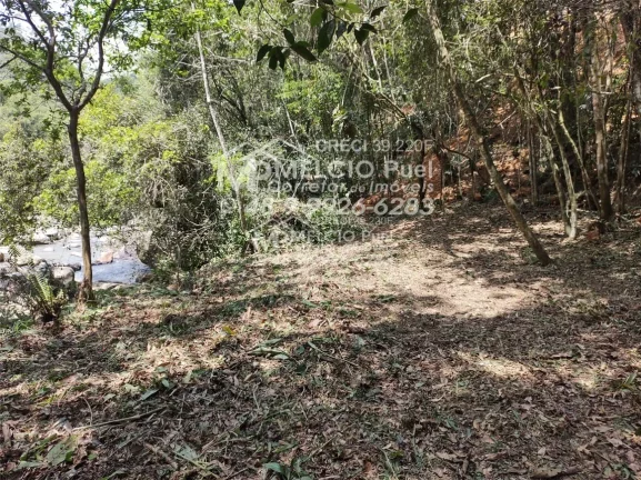 Imagem Sítio a VENDA, com casa a beira de riacho, em Nova Trento Distância da cidade de 13Km, de fácil acesso. De área com 5.000m² com escritura,