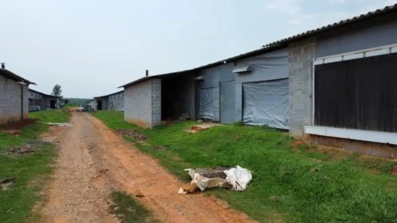 Imagem Sítio à venda em Cesário Lange-SP, com 314.600,00 m² de área no bairro ideal para investidores!
