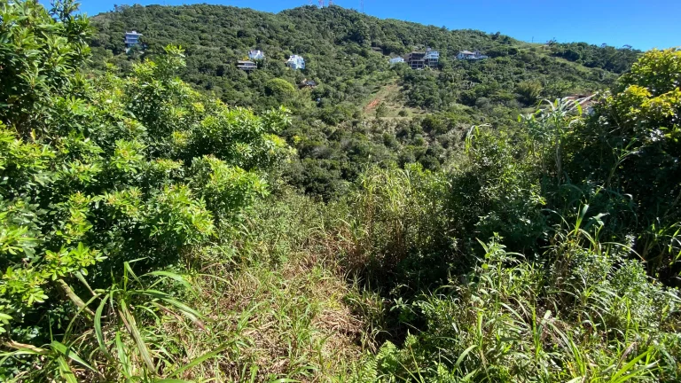 Imagem Terreno à venda em Garopaba-SC, bairro Ferraz, 810m² de área - Oportunidade única!