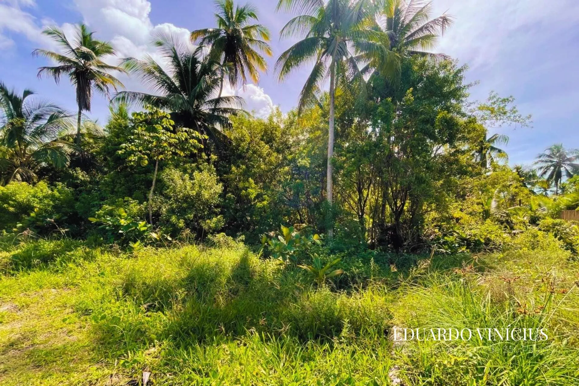Imagem Dolce Vita Praia - Lote Próximo do Mar com 1.000m² em Condomínio de LUXO À Venda na Quarta Praia do Morro de São Paulo