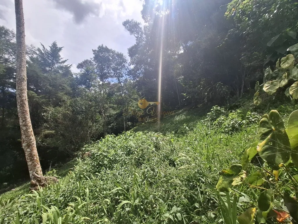 Imagem Terreno para Venda em Teresópolis / RJ no bairro Albuquerque