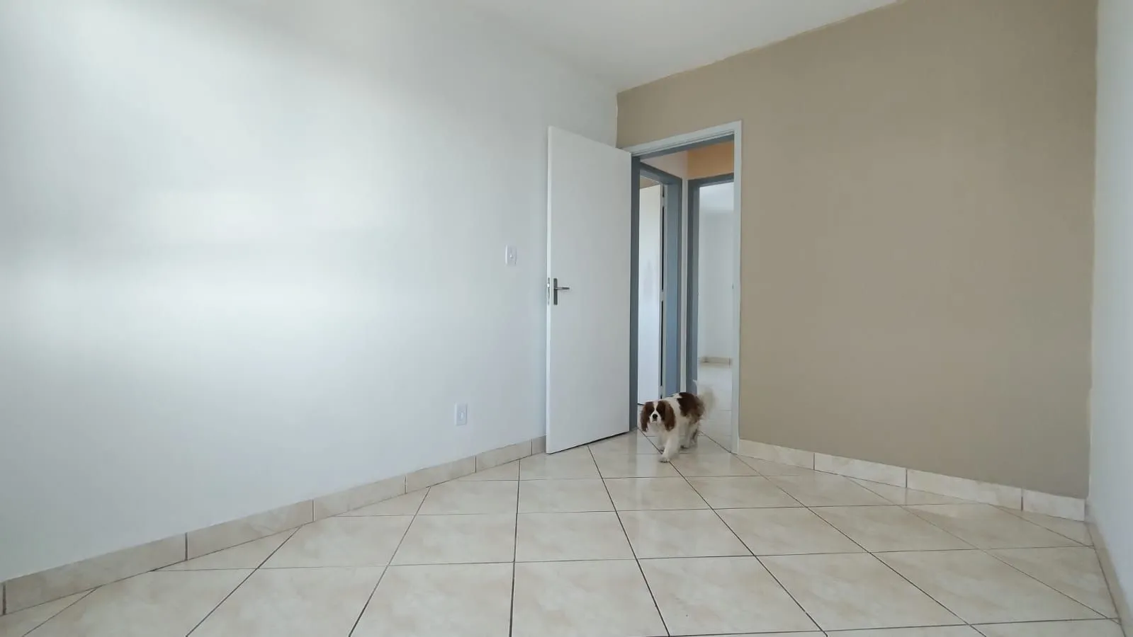 Imagem Apartamento com 3 dormitorios e Box escriturado