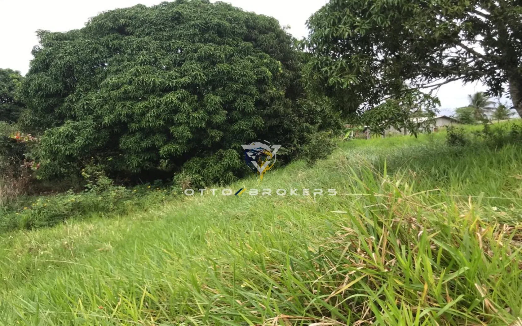 Imagem AREA RESIDENCIAL em SANTA CRUZ CABRÁLIA - BA, TÂNIA
