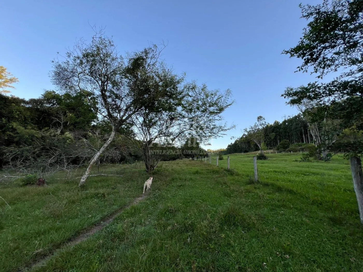 Imagem Chácara de 10 hectares para venda em Lomba Grande, Novo Hamburgo