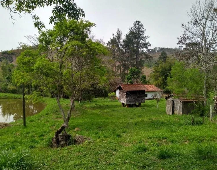 Imagem Chácara à venda, Cedro, Cunha, SP