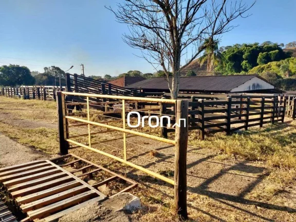 Imagem Fazenda com 5 dormitórios à venda, 3500000 m² por R$ 65.000.000,00 - Goiânia - Goiânia/GO