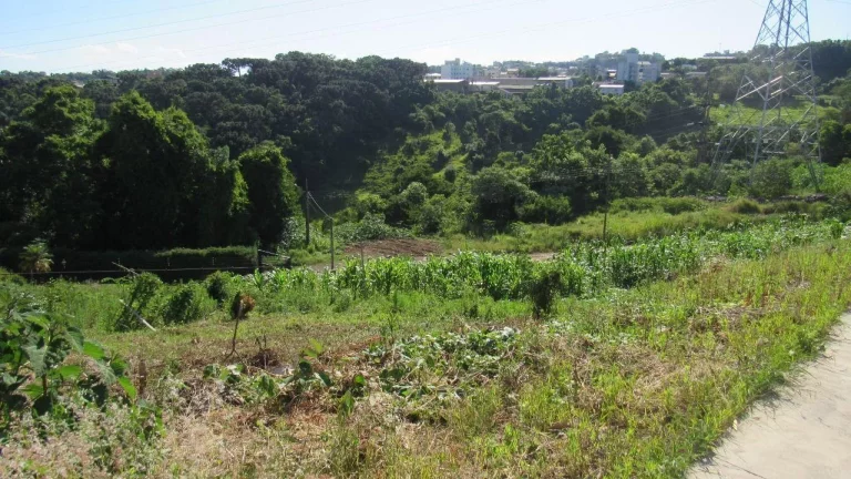 Imagem Terreno para Venda em Concórdia, Jardim