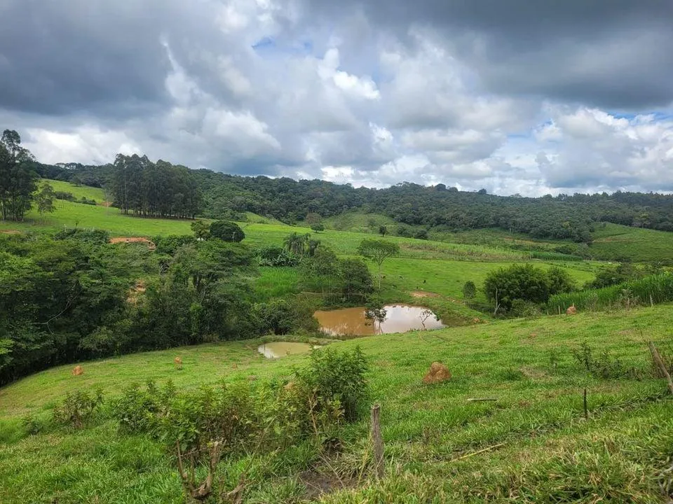 Imagem Terreno à Venda em Piedade dos Gerais / MG 15 hectares de área total