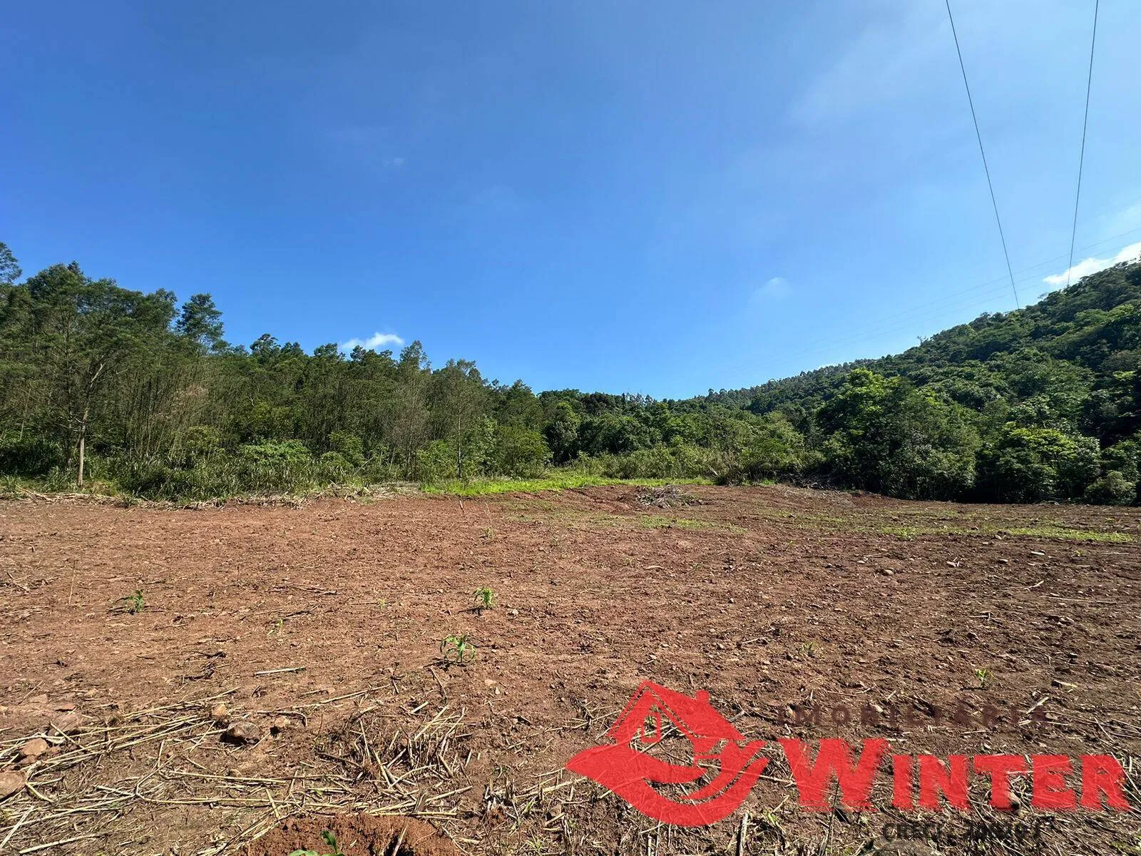 Imagem Área de terras com 10 hectares em Linha Nova