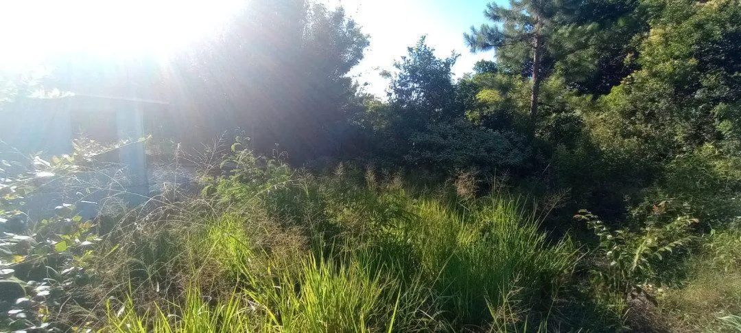Imagem Terreno em Nonoai