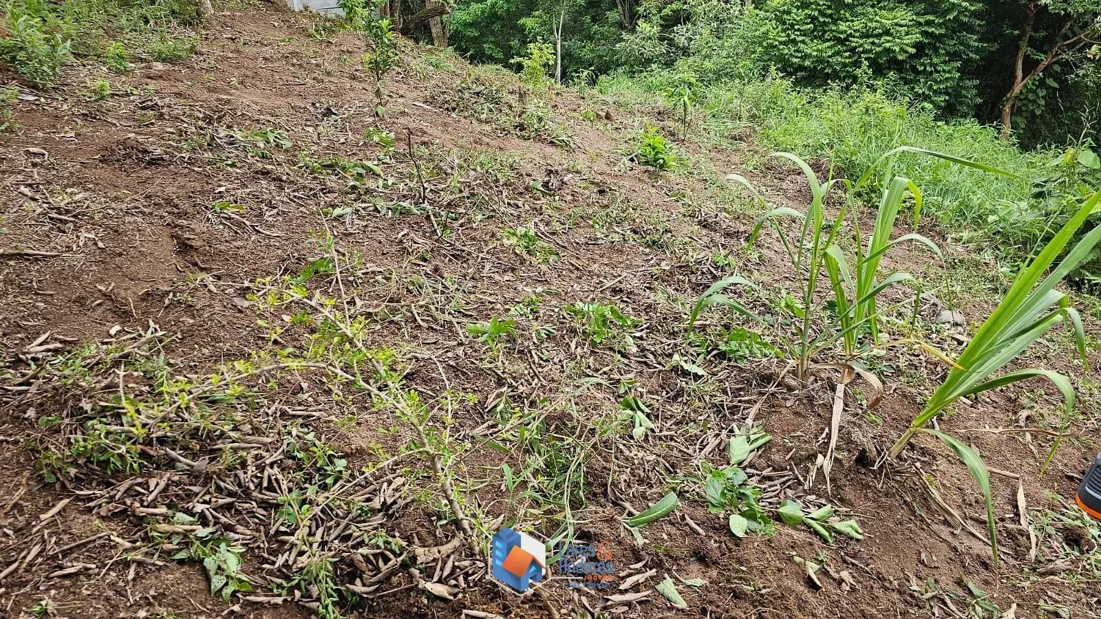 Imagem Terreno à venda, Portal Roselândia, Cotia, SP