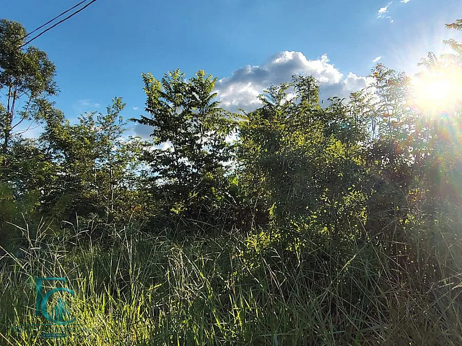 Imagem Chácara à venda em Guapó, Zona Rural, 3.000m²