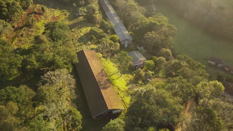 Imagem Área Agrícola para Venda em Ipumirim, Centro