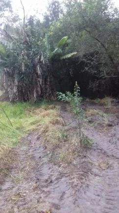 Imagem Terreno excelente a venda para Chácara com 8 mil m² no asfalto - em Quadra