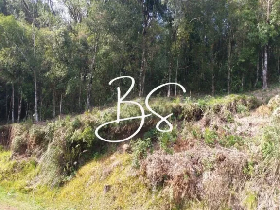 Imagem TERRENO RESIDENCIAL em GRAMADO - RS, Vale dos Pinheiros