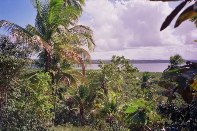 Imagem Ilha São Jerônimo
