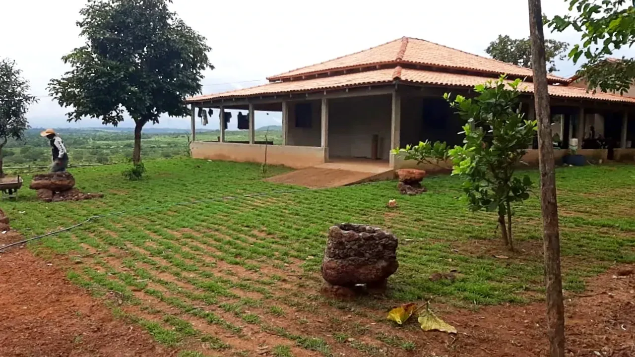 Imagem Fazenda à Venda, 600 HA em Floresta do Araguaia - Floresta do Araguaia