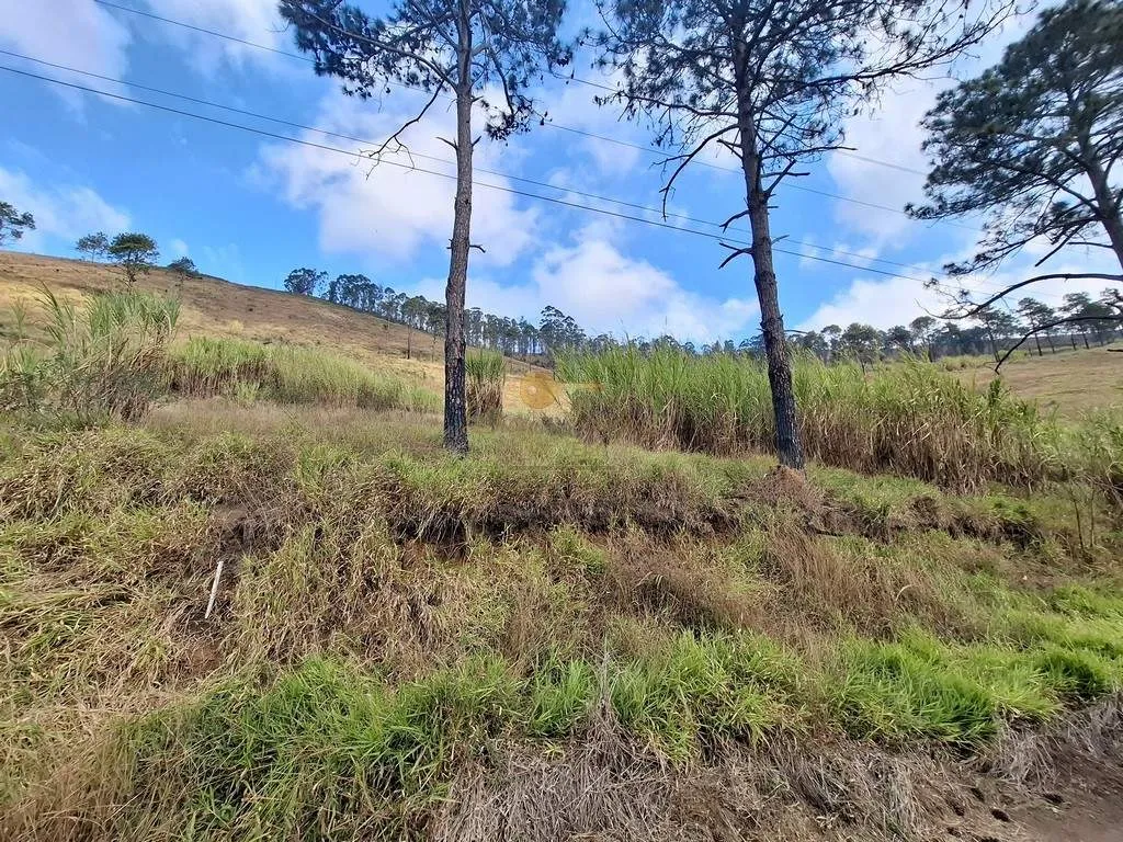 Imagem Terreno para Venda em Teresópolis / RJ no bairro Fazenda Suiça