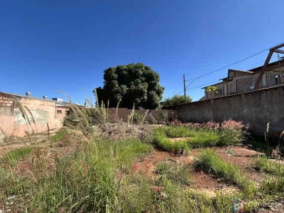 Imagem Terreno à Venda no Bairro São Francisco em Patos de Minas - 465m² para Construir a Casa dos Seus Sonhos!
