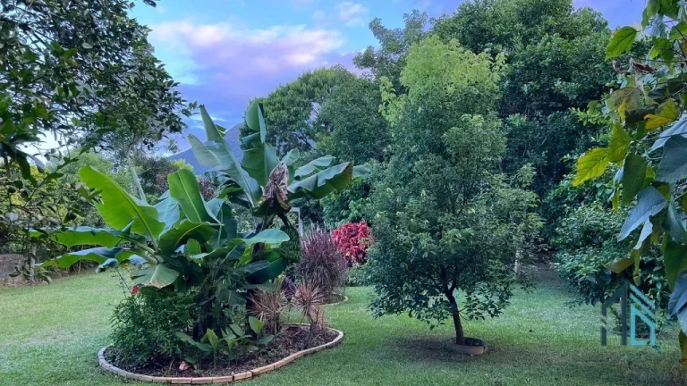 Imagem Chácara/Sítio a venda no bairro Guarda do Cubatão, na CIDADE DE PALHOÇA (grande Florianópolis). SC