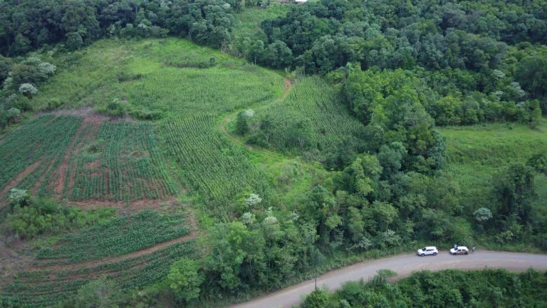 Foto do imóvel Terreno para Venda em Concórdia, Primavera em Anita Garibaldi