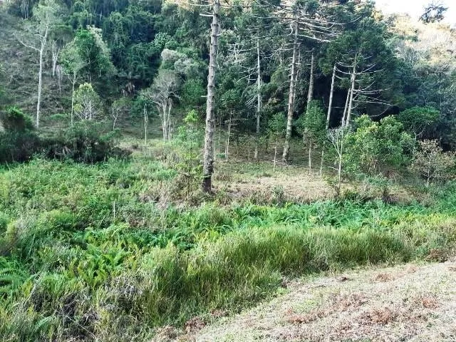 Imagem Chácara à venda 170000M², Paraibuna, Cunha - SP